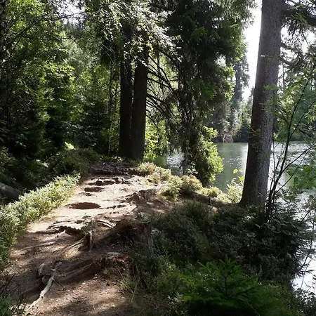 民宿 Tannerhof 布劳恩拉格