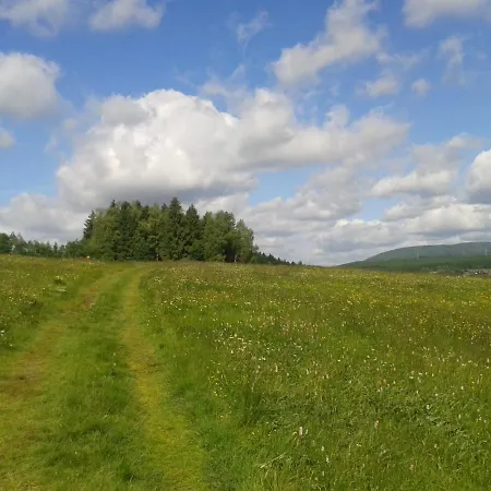 Tannerhof Браунлаге